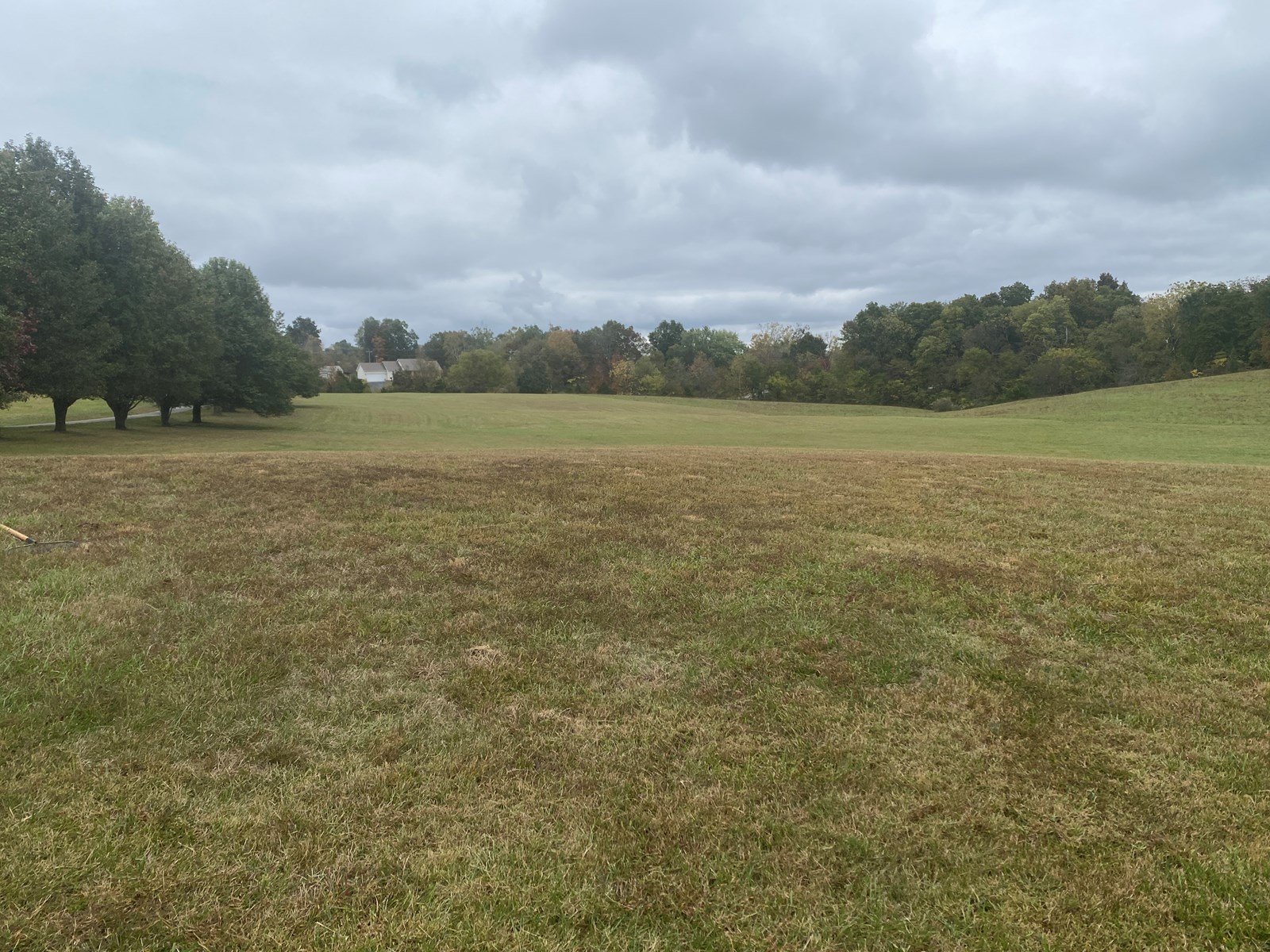 Luxury Country Home w/Acreage in Leitchfield, KY For Sale