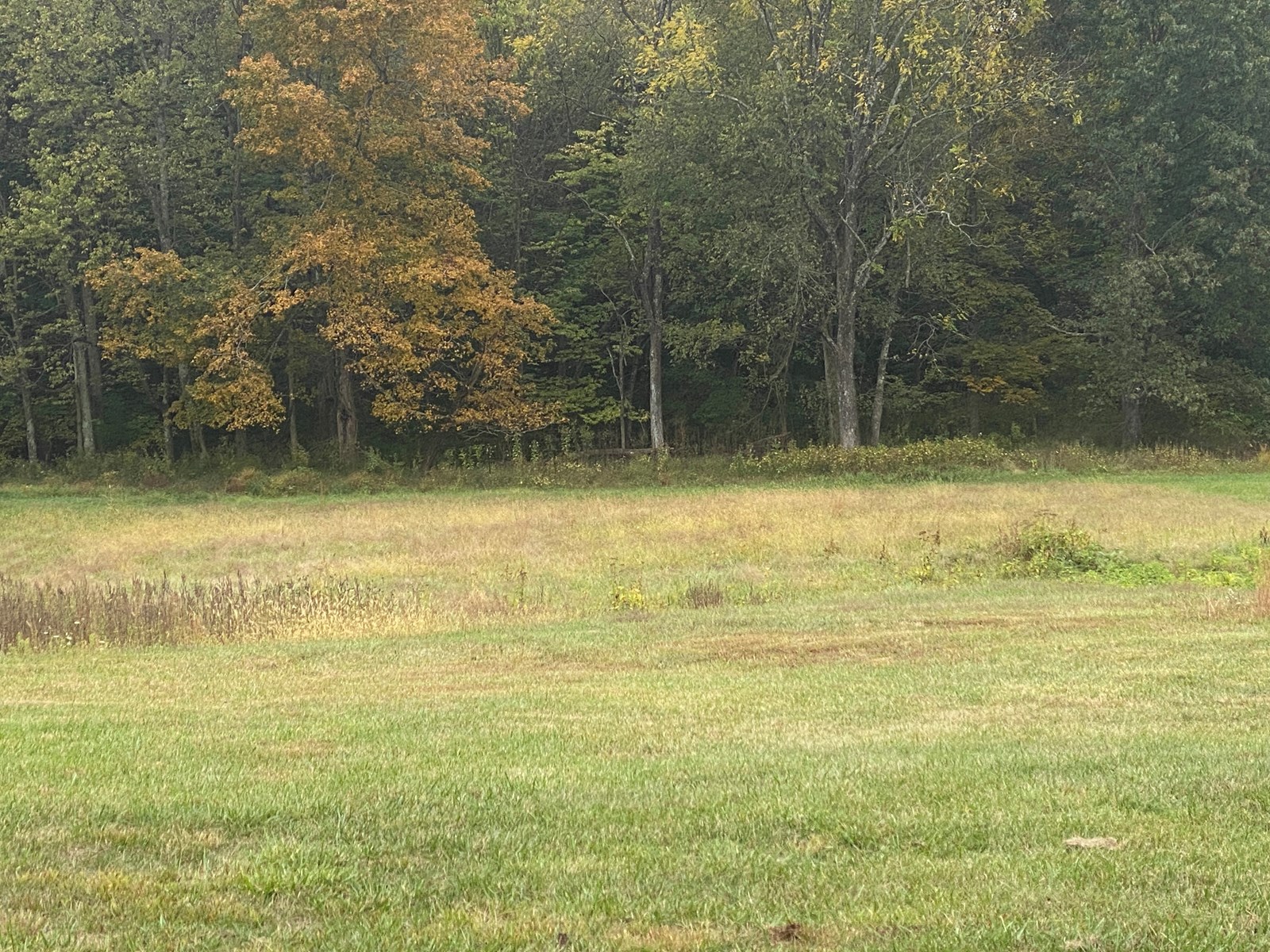 Luxury Country Home w/Acreage in Leitchfield, KY For Sale