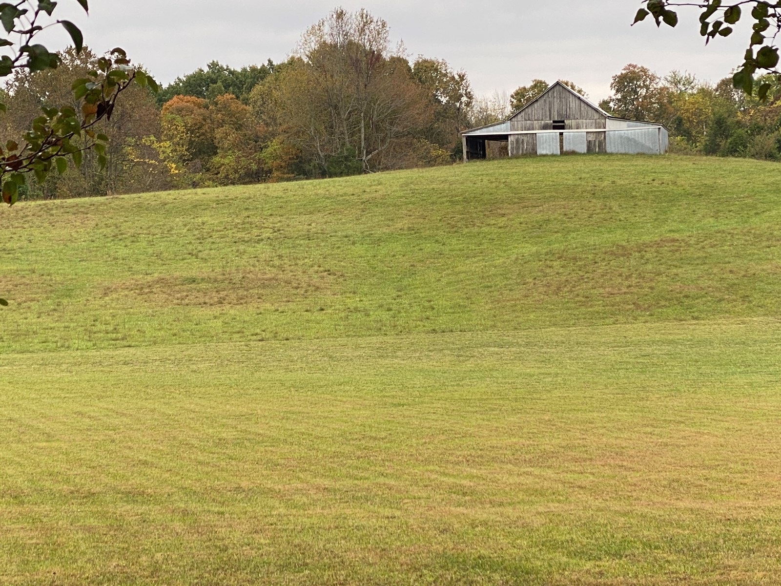 Luxury Country Home w/Acreage in Leitchfield, KY For Sale