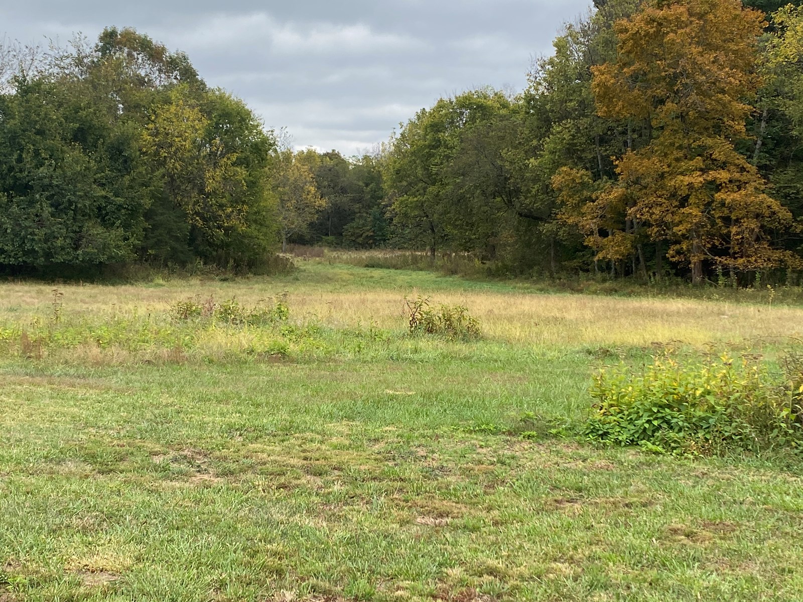 Luxury Country Home w/Acreage in Leitchfield, KY For Sale