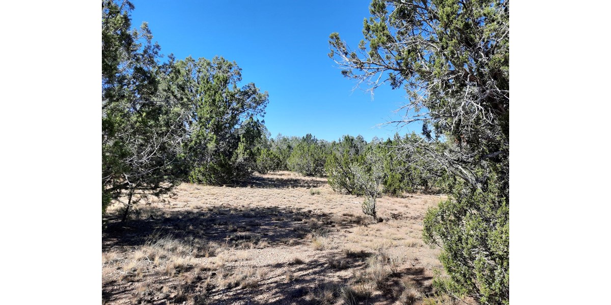 Northern AZ off grid mountain property