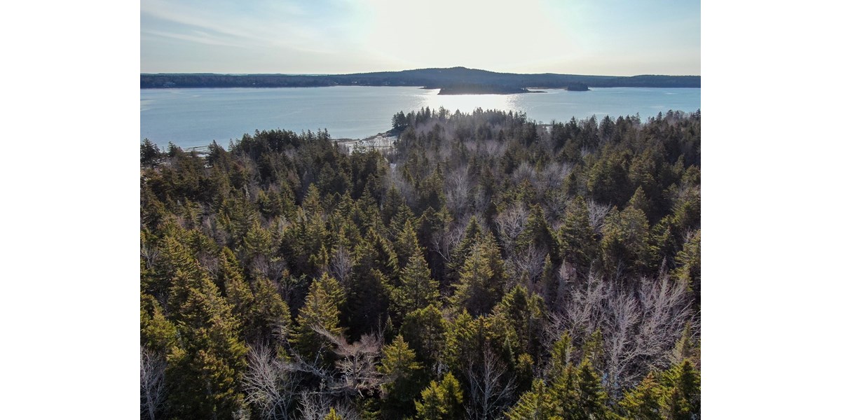15 ACRES OF MAINE COASTAL LAND