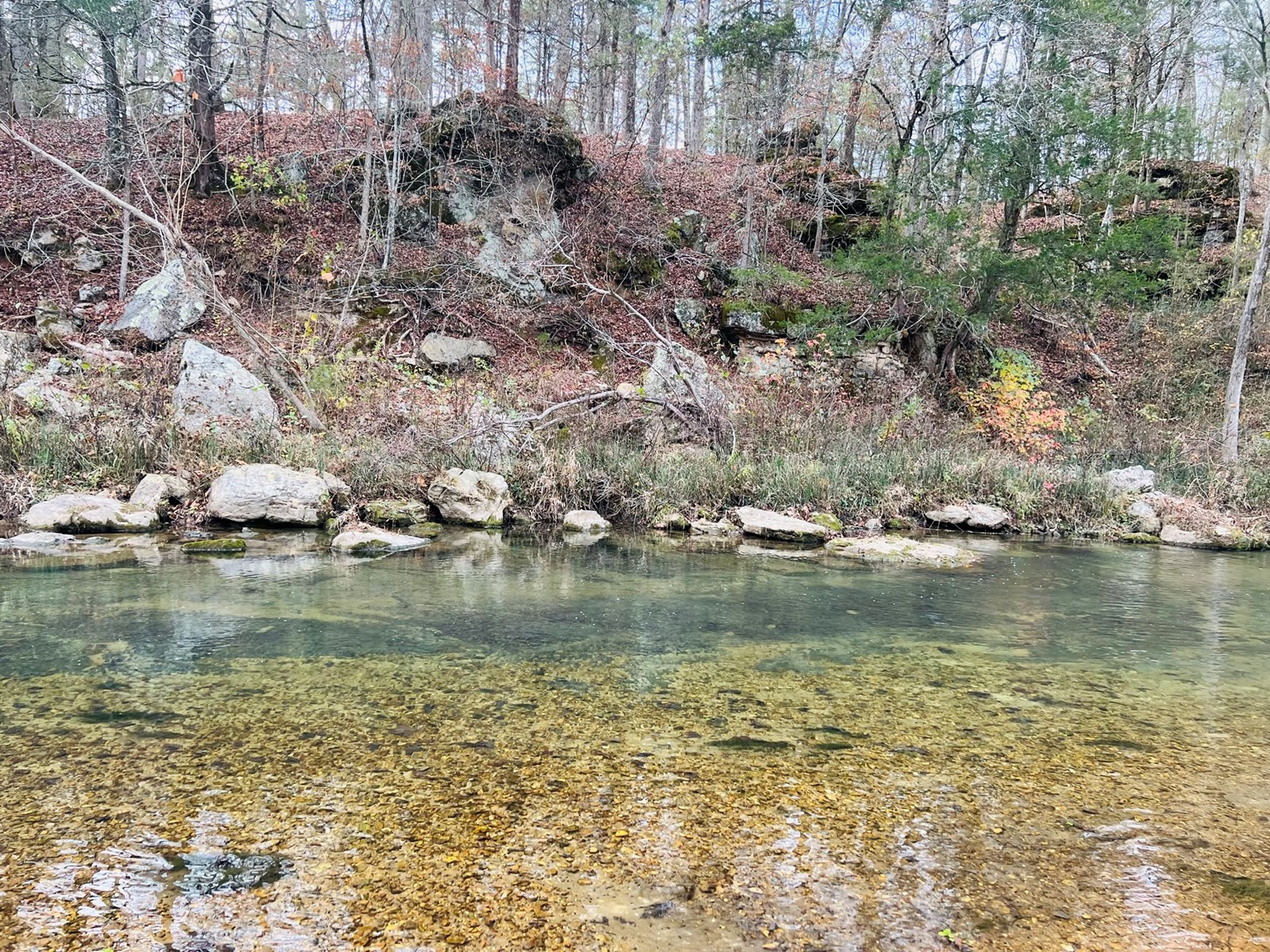 Creek Land For Sale In Rural North Central Arkansas