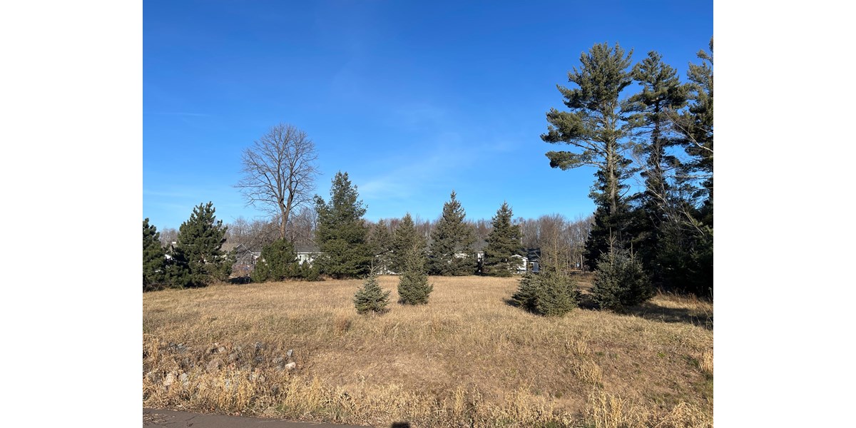 LEVEL BUILDING SITE ON DEADEND ROAD FOR SALE WRENSHALL MN