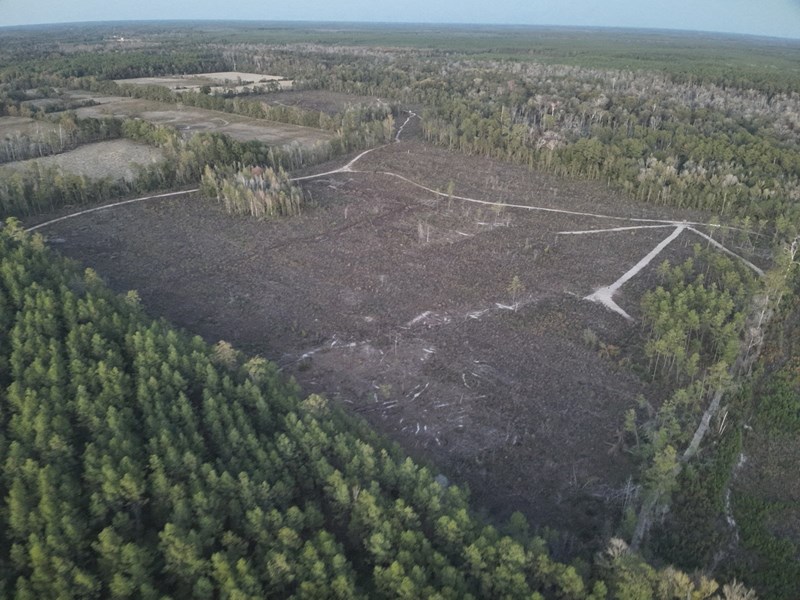 Diverse Timberland W/ Creek For Sale In Vernon Parish, La