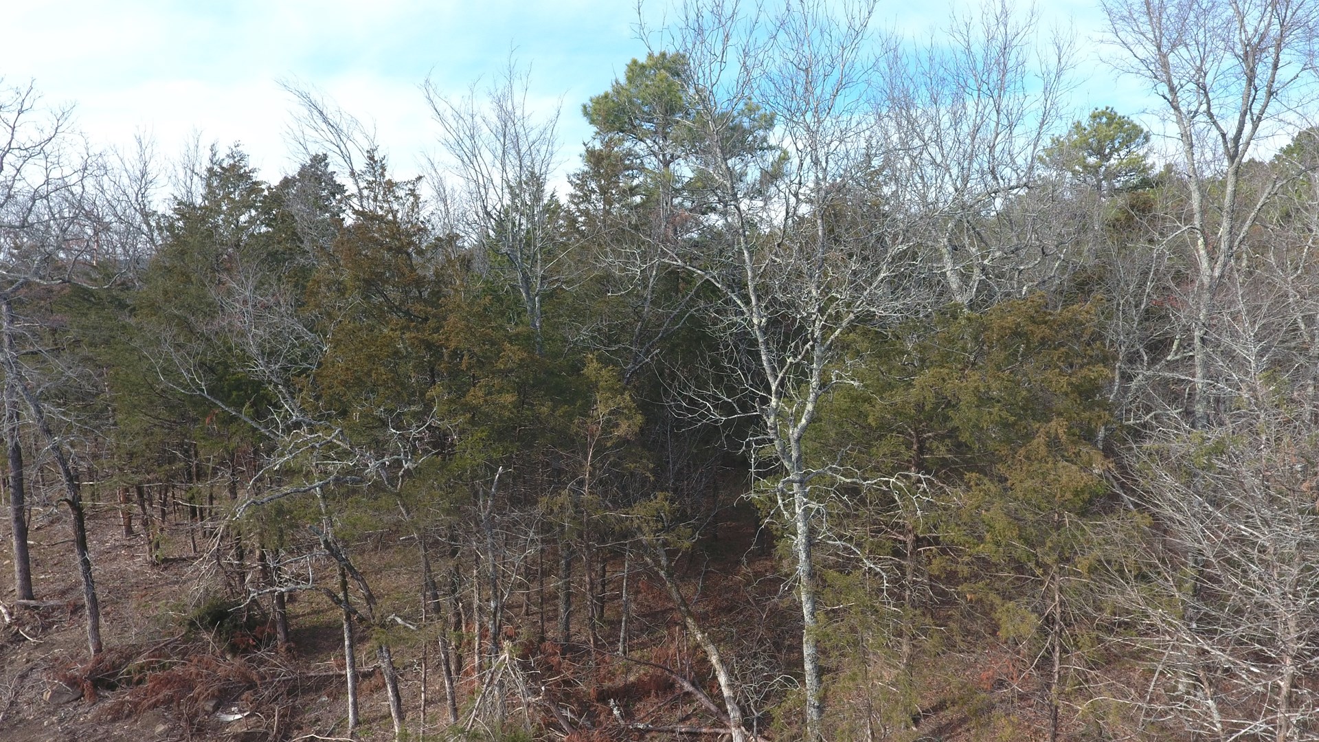 Wilburton Oklahoma Real Estate Area Listings