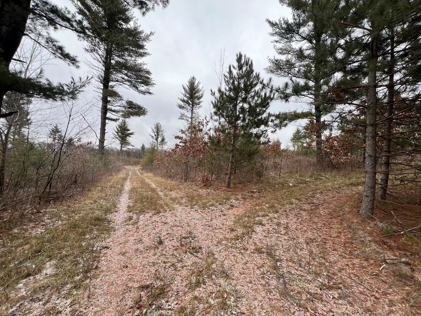 26+/ acres of Waushara Country Hunting Land for Sale