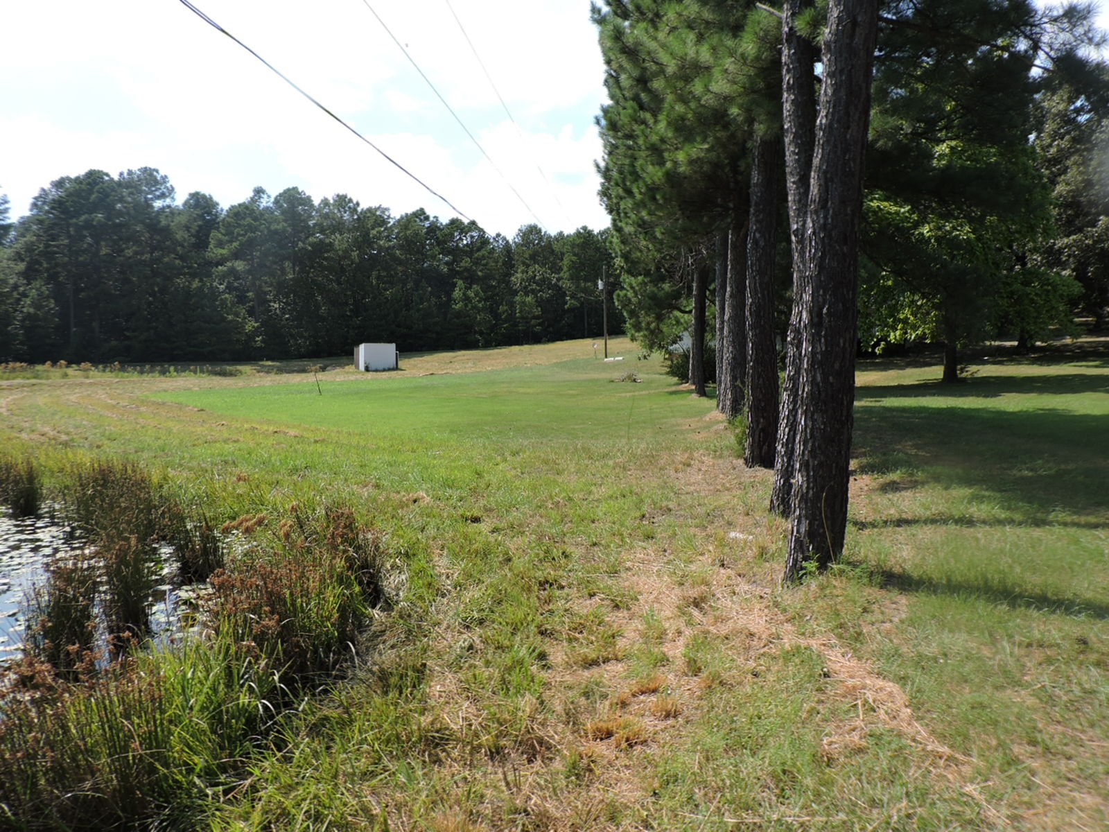 HOME with Land FOR SALE in Ouachita Mountains!