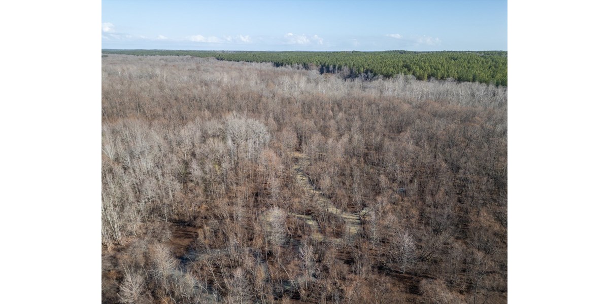 Mississippi Land for Sale Montgomery County