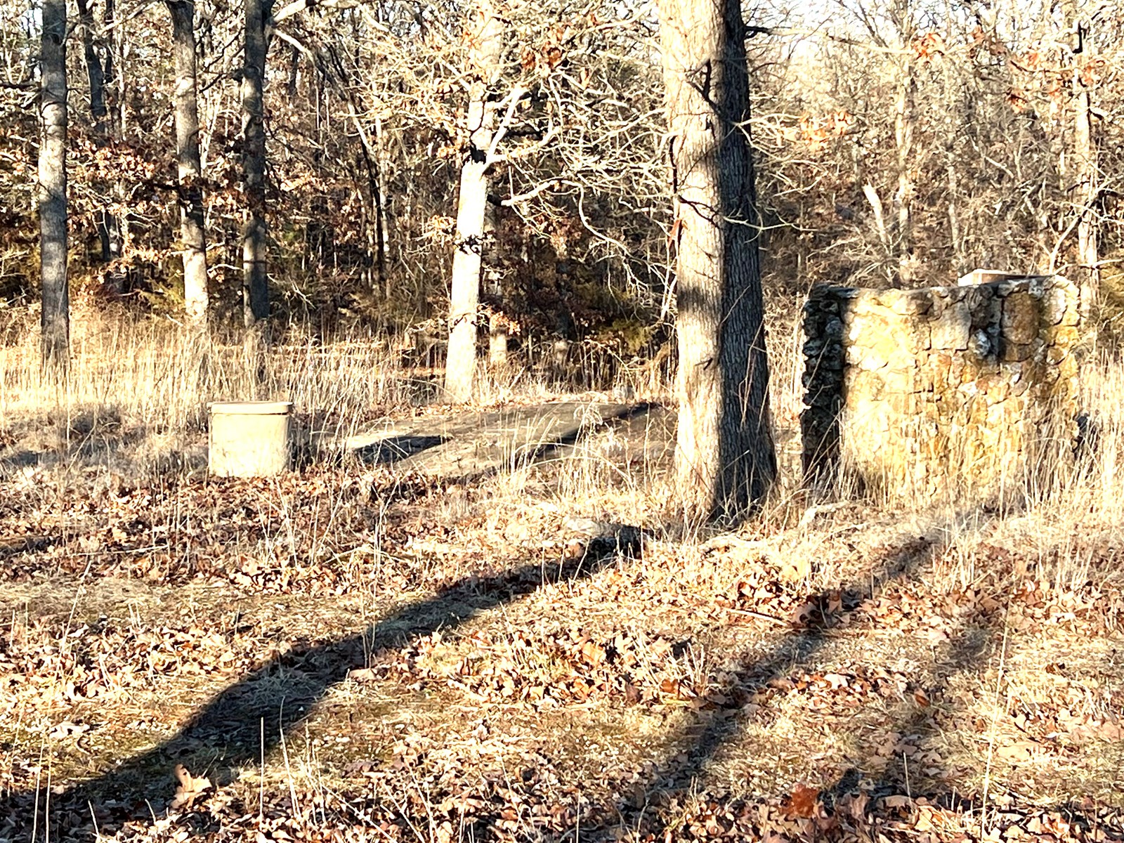 Land for Sale in Steelville, MO