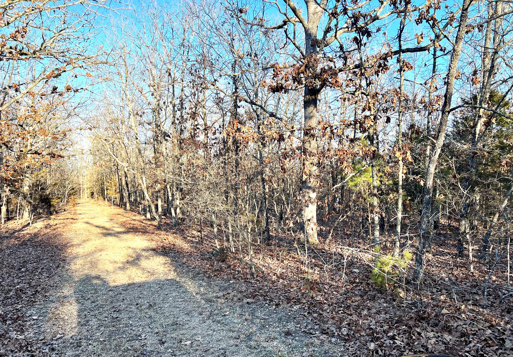 Land for Sale in Steelville, MO