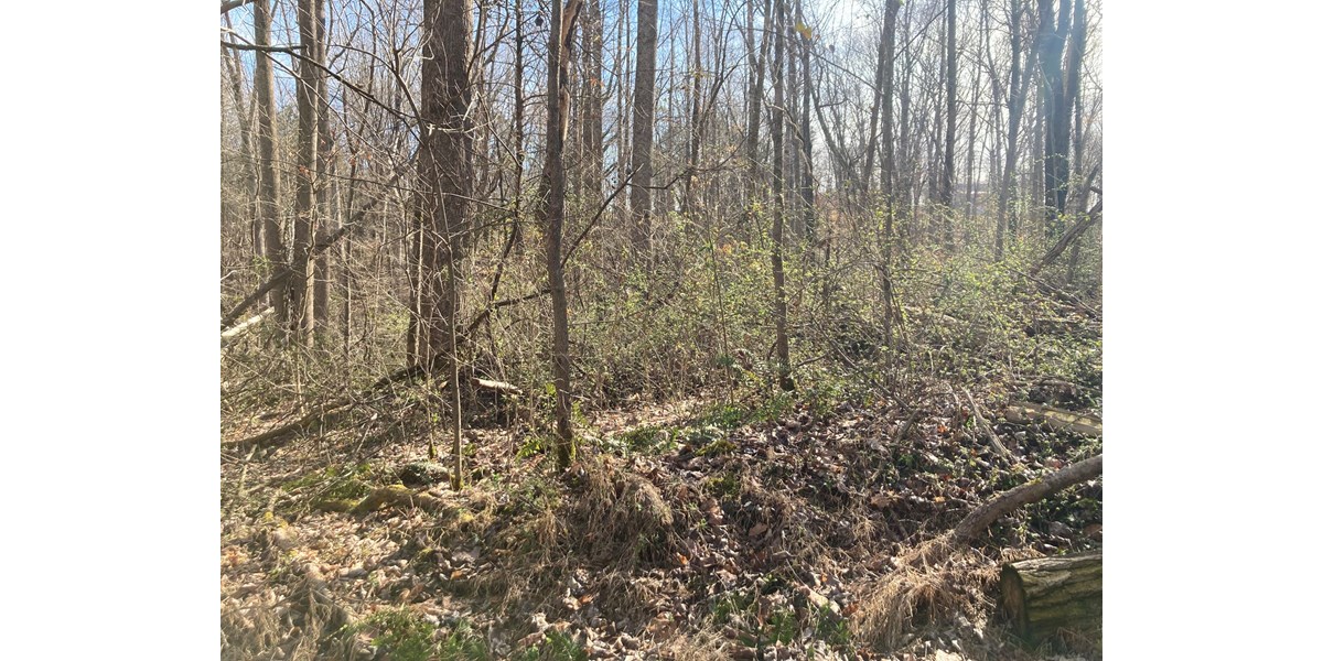 Unrestricted Lot near Barren River Lake