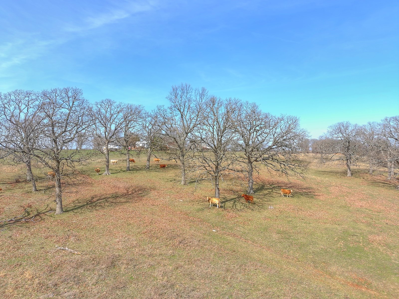 Beautiful Build Tract Less Than 1 Mile From Stockton Lake