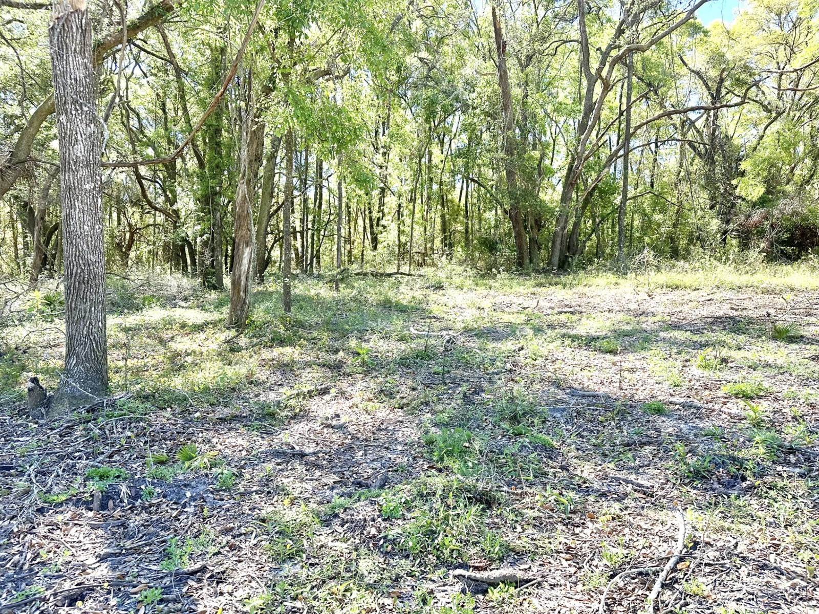River Subdivision Lot For Only 32,900!!