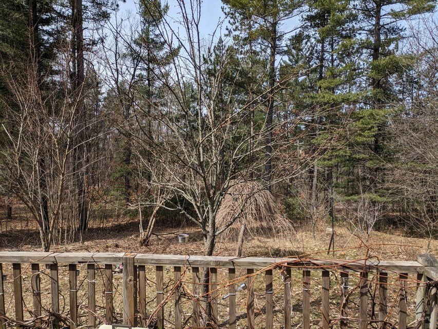 Home with 10 Acres and Pond For Sale Atlanta MI