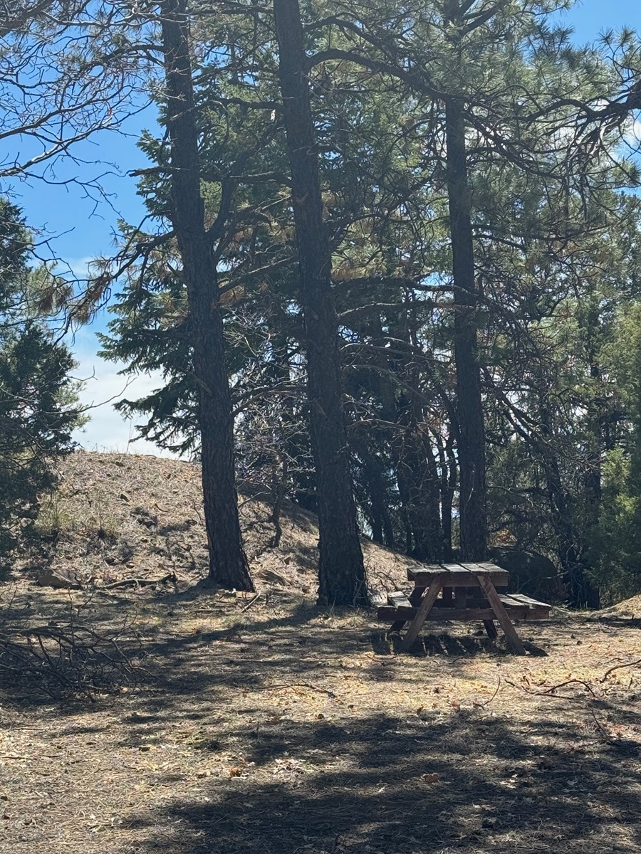 Mountain Land for Sale near Chama NM, Gated Access, Wooded