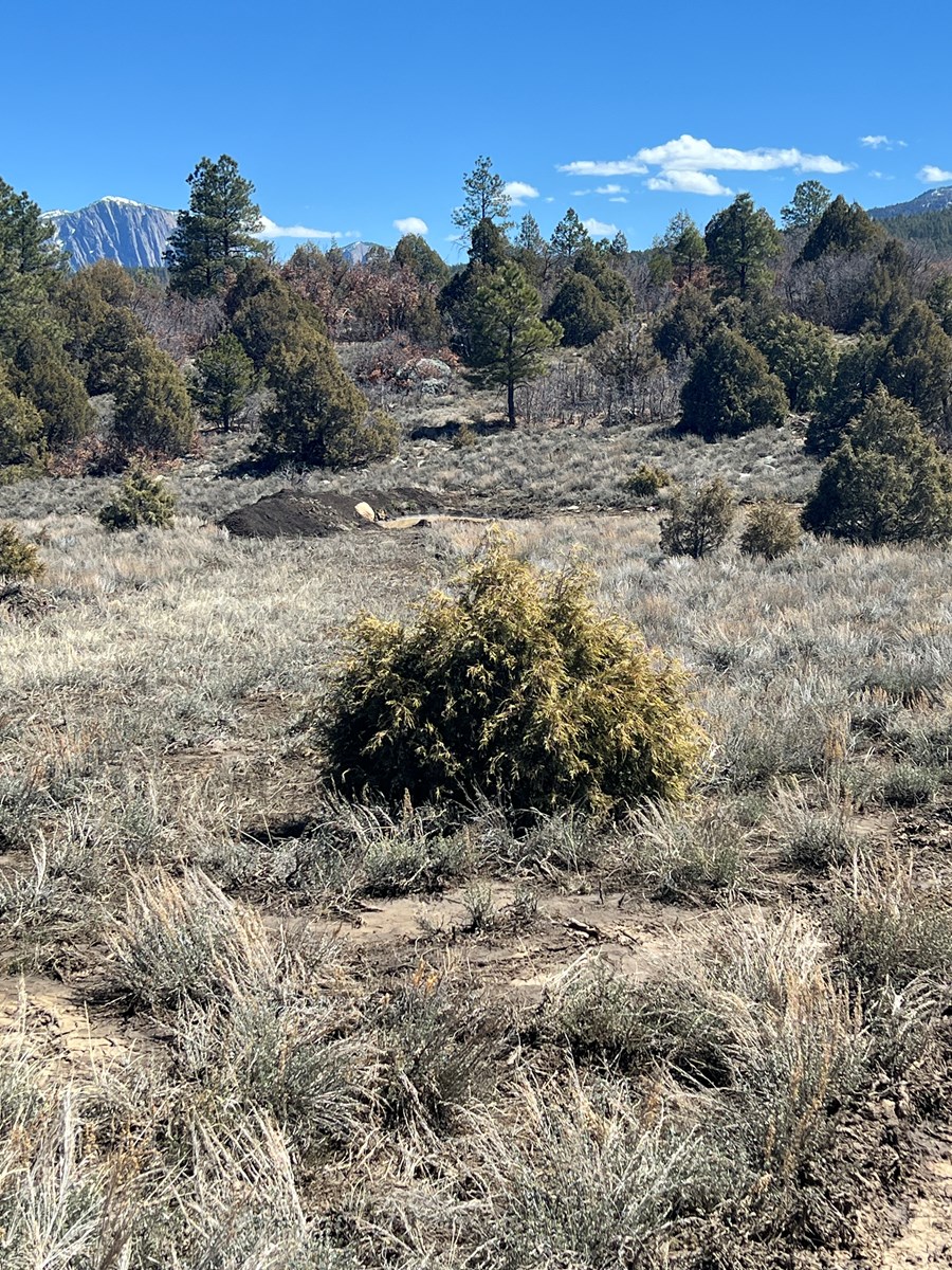 Land For Sale With Spectacular Views Near Chama New Mexico