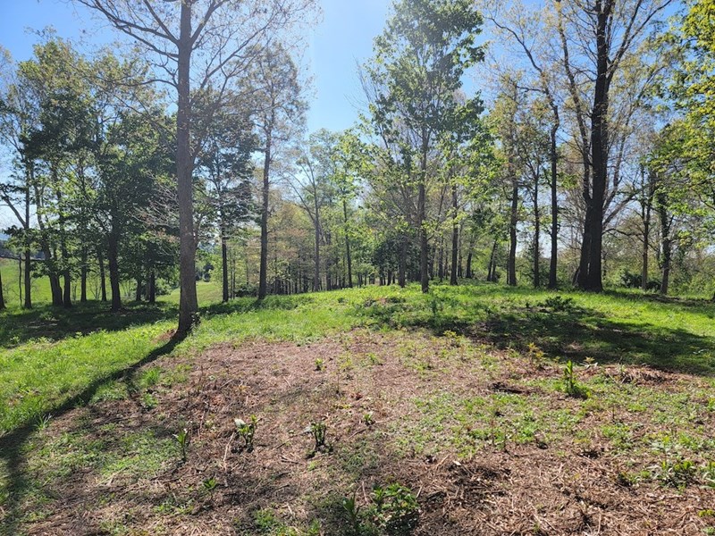 Offering 1 Building Lot For Sale In Riner Va