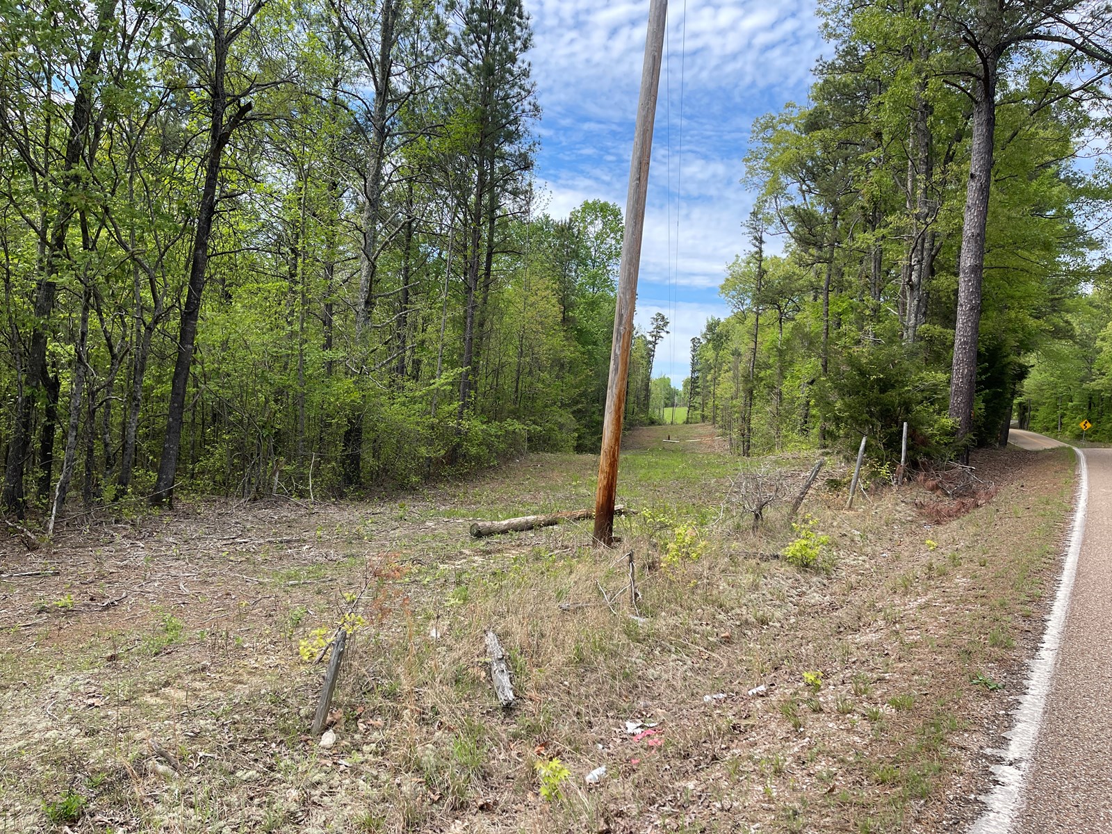 Land For Sale In Hardin County Tn, 20 Ac, YearRound Spring