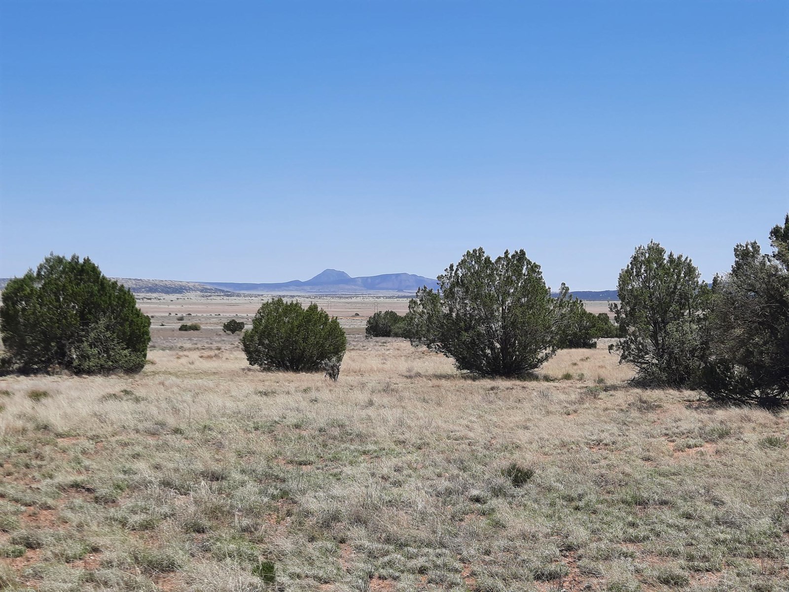 Northern Arizona Ranches 360 Views Northern AZ Off Grid Property