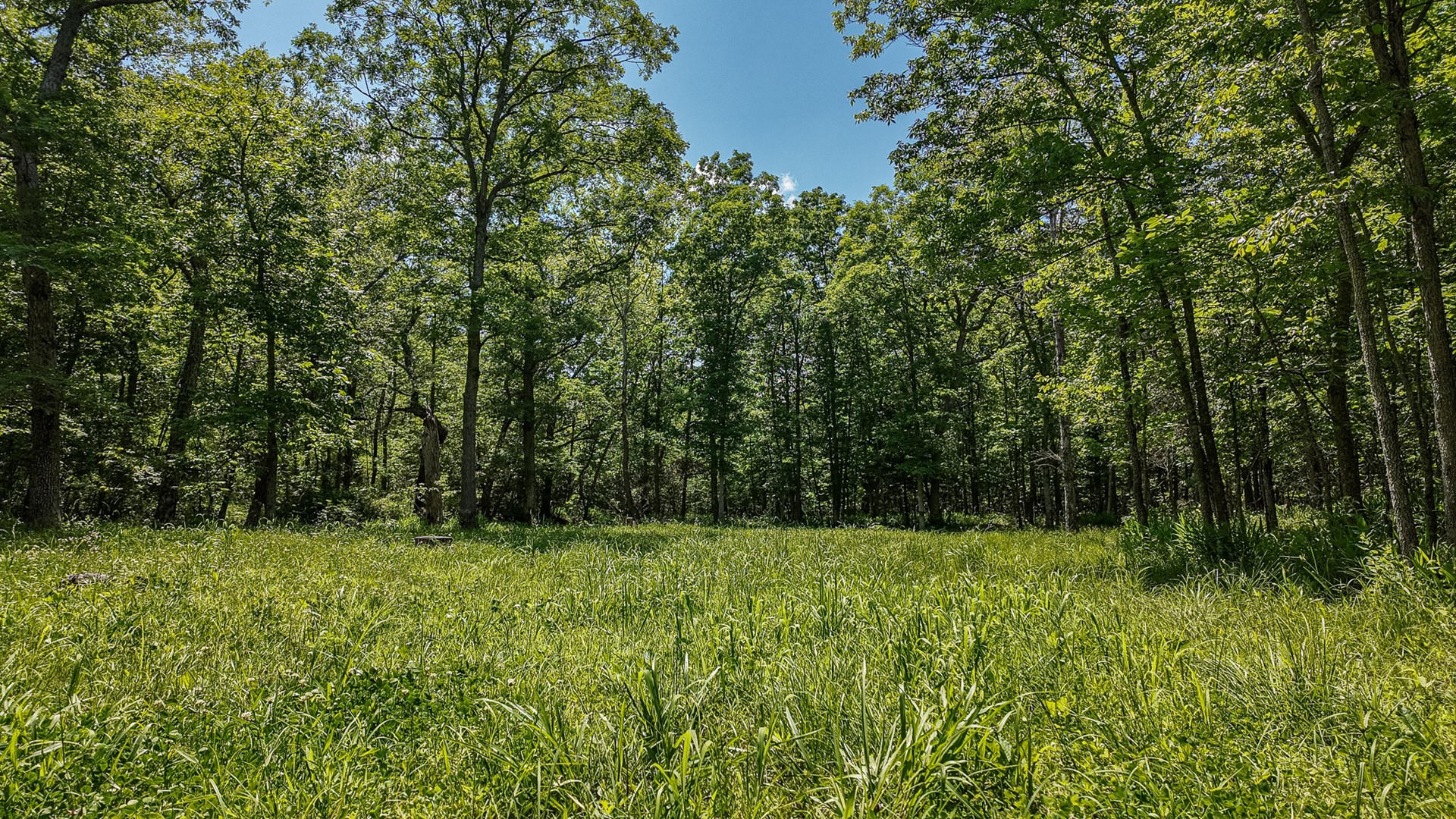 Home for sale Osceola MO