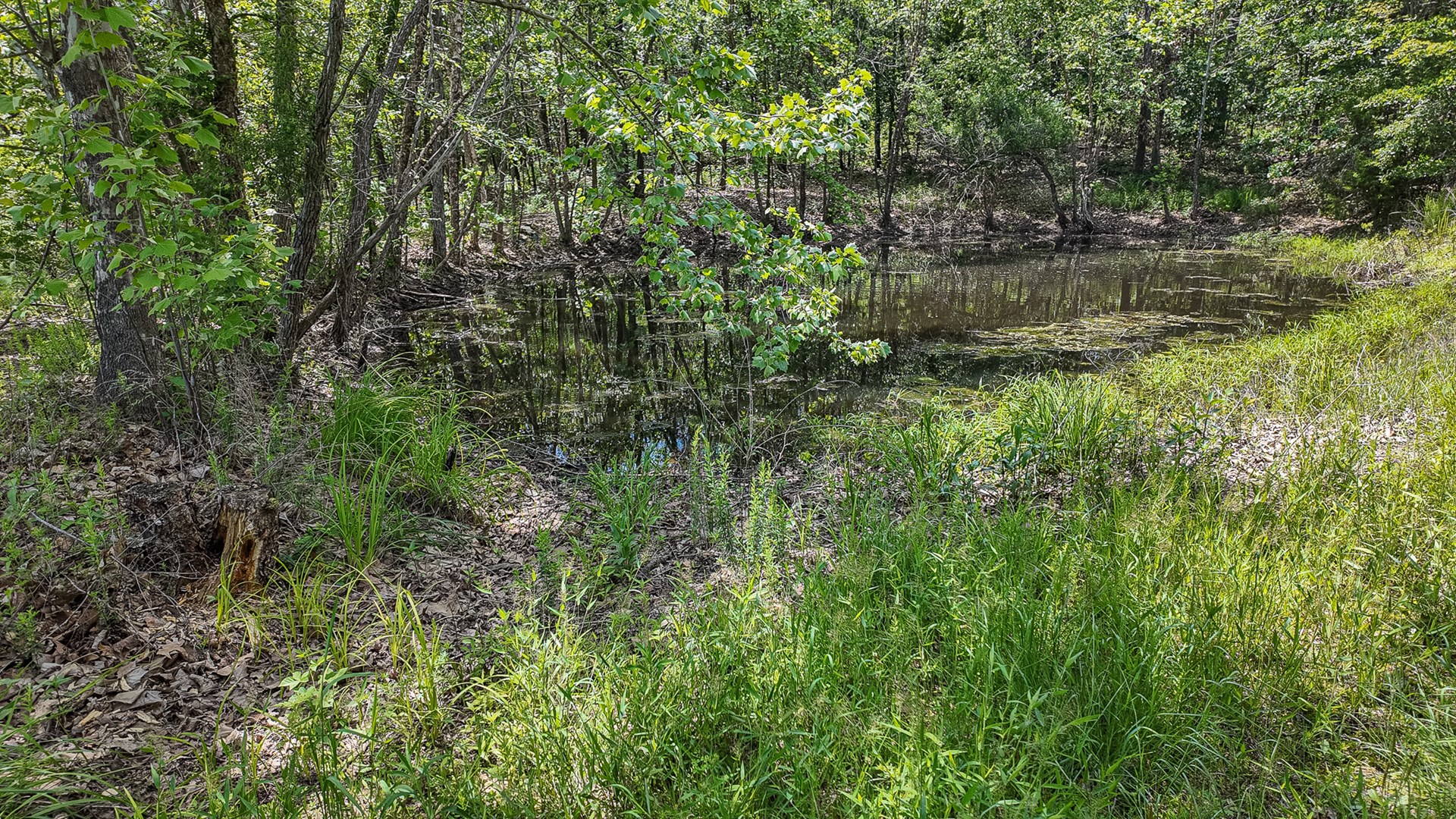 Home For Sale Osceola Mo