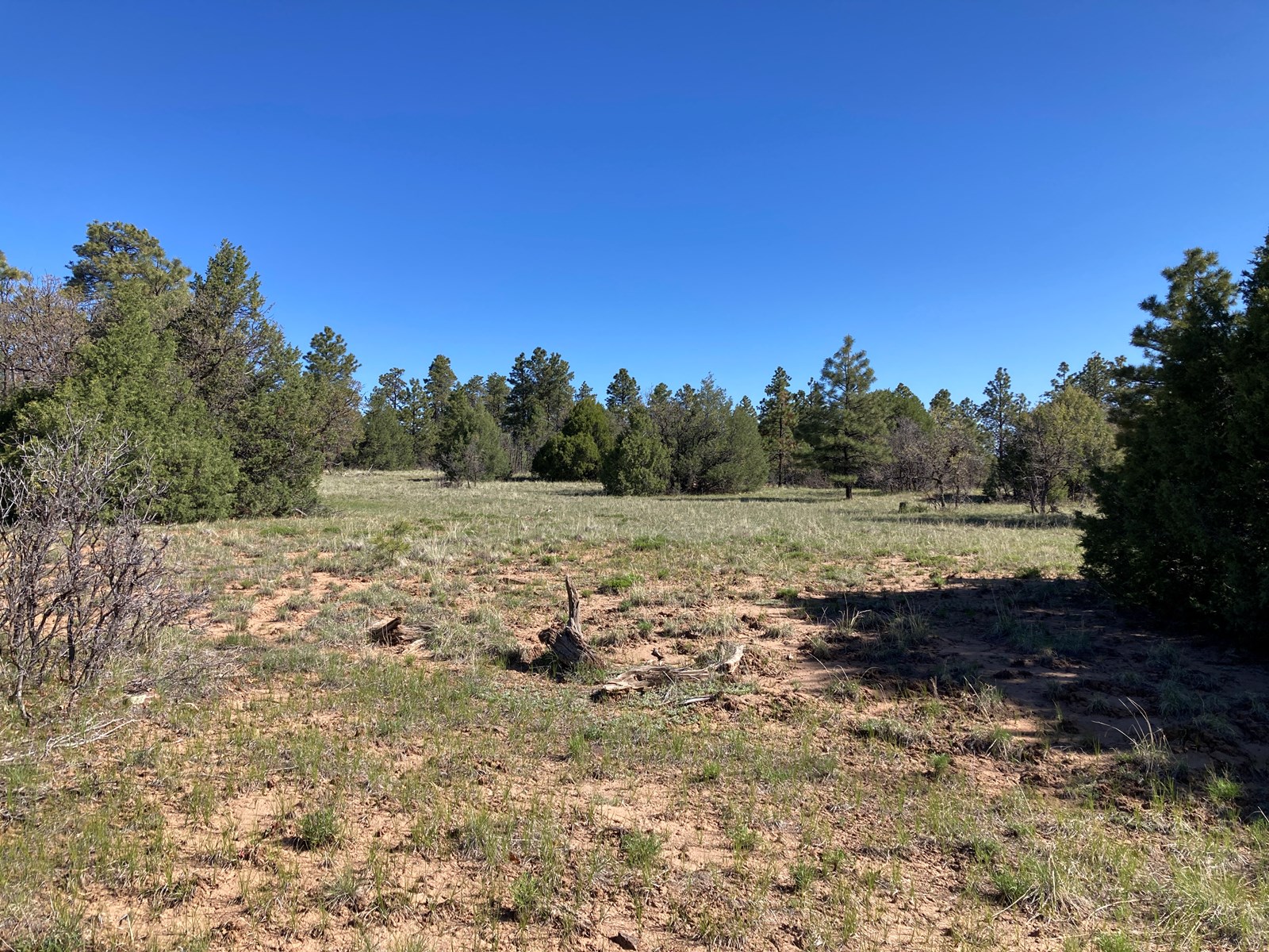 Search All Area Northern New Mexico Real Estate Listings