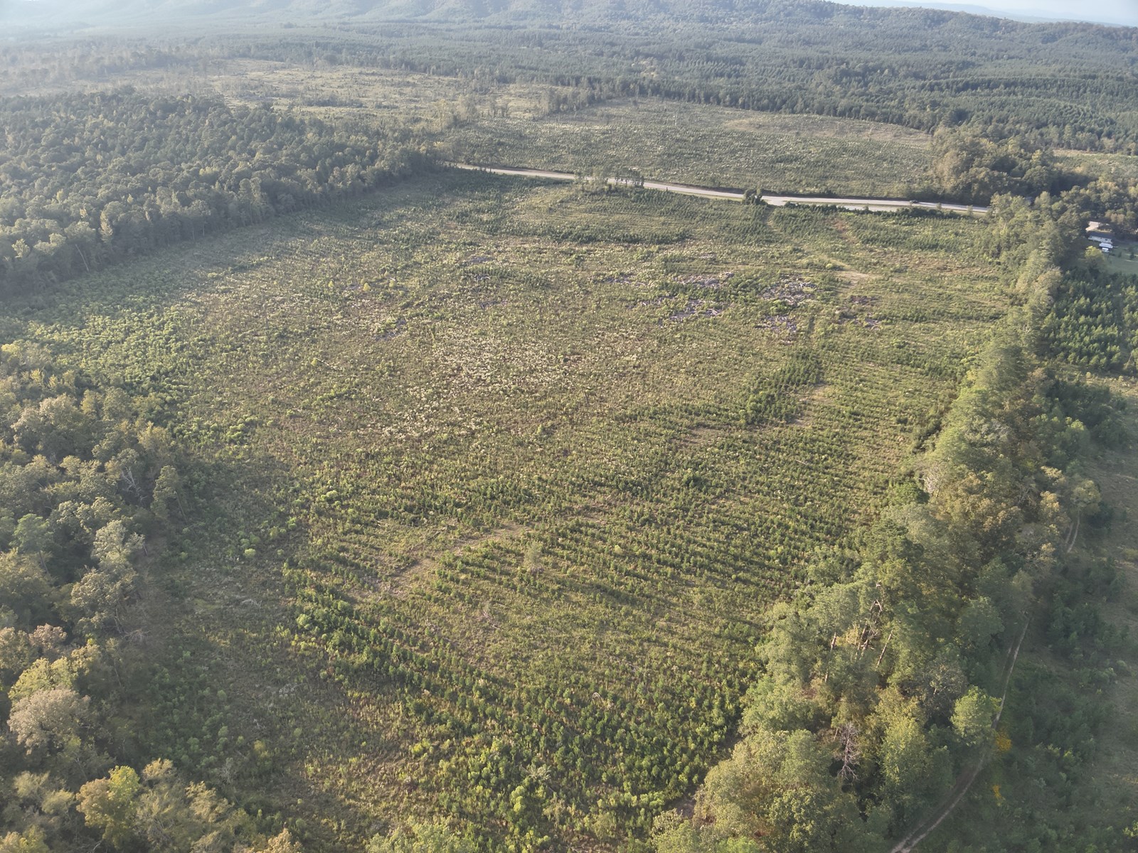 Pine Land W/ Hwy Utilities Near De Gray Lake / Bismarck, Ar