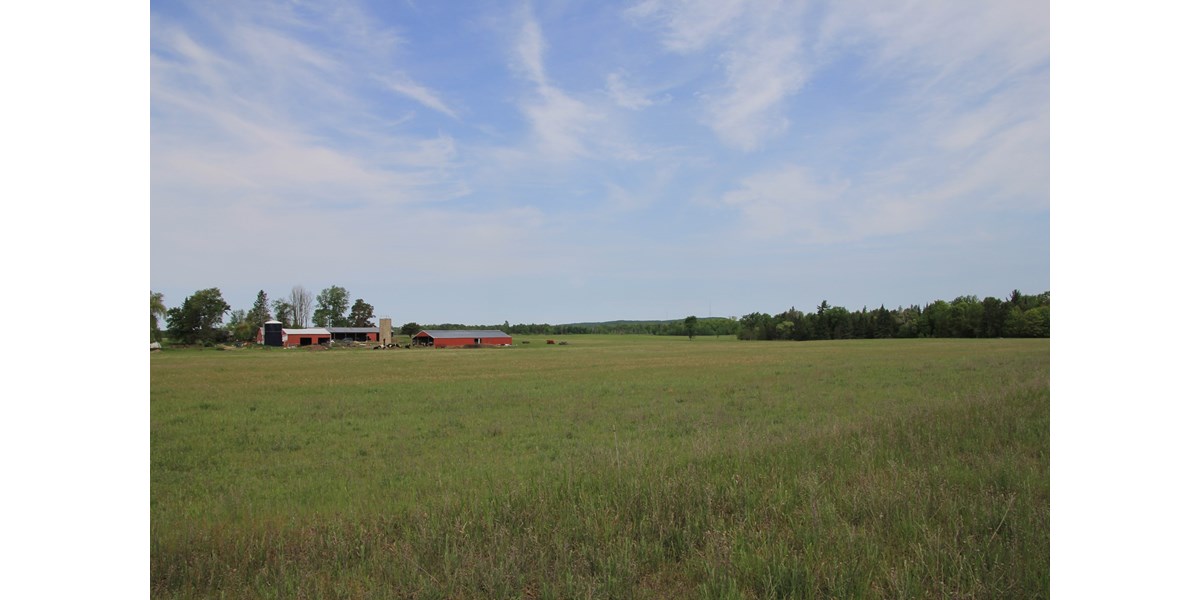 Farm For Sale Michigan, Organic Dairy Farm 240 Acres Hunting