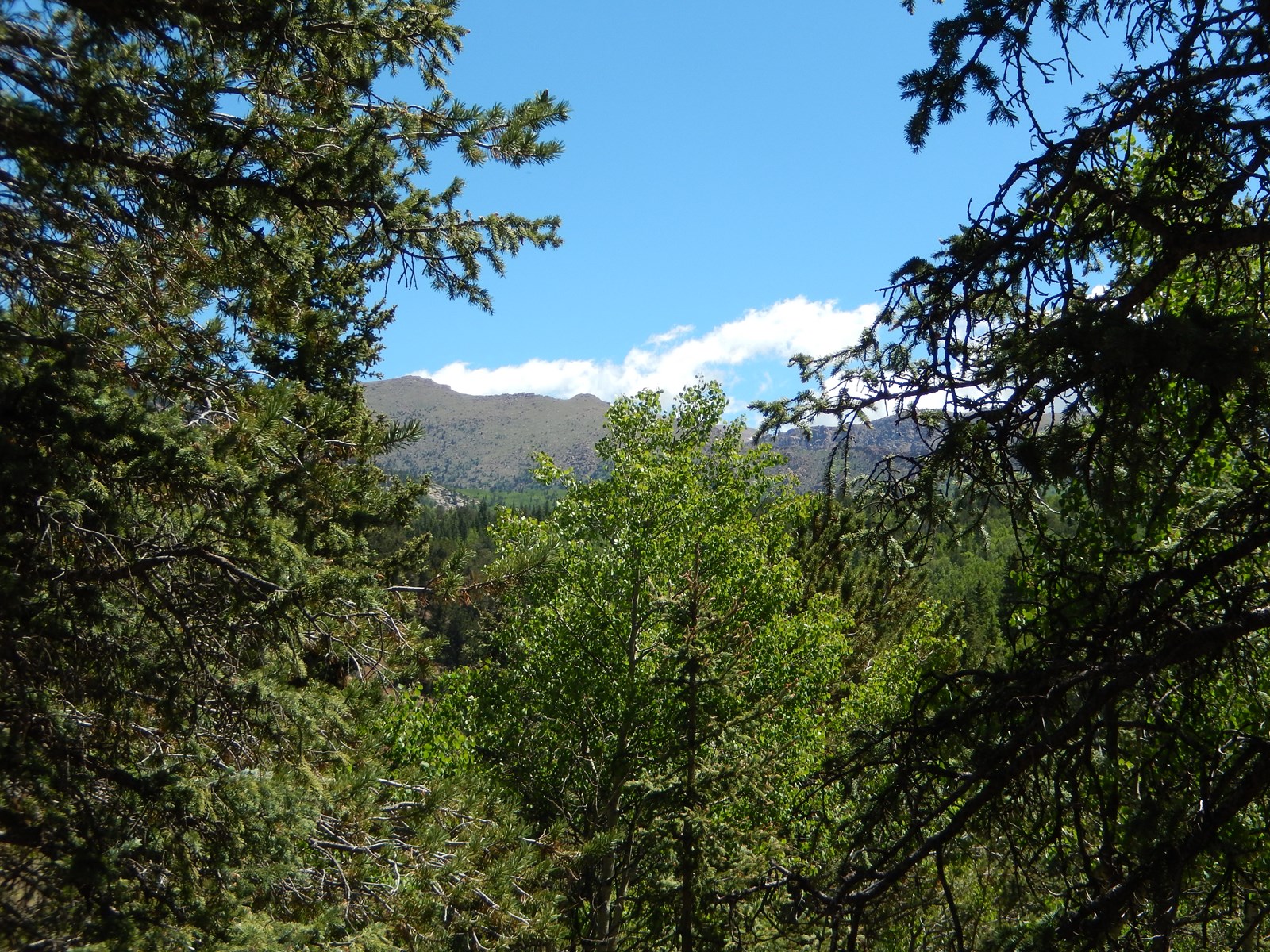 MOUNTAIN RECREATIONAL PROPERTY FOR SALE