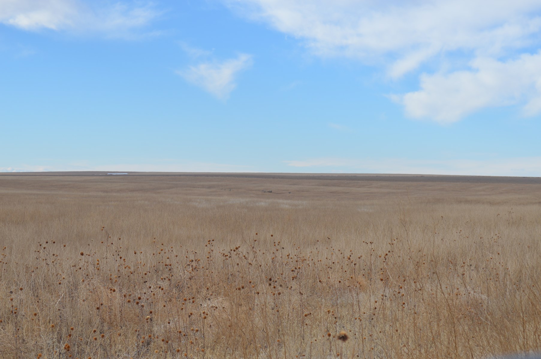 Washington County Farms for Sale