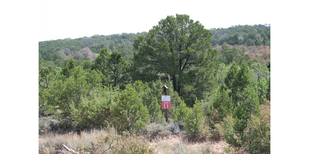 38 acre Mountain Homesite for sale near Grand Junction, CO
