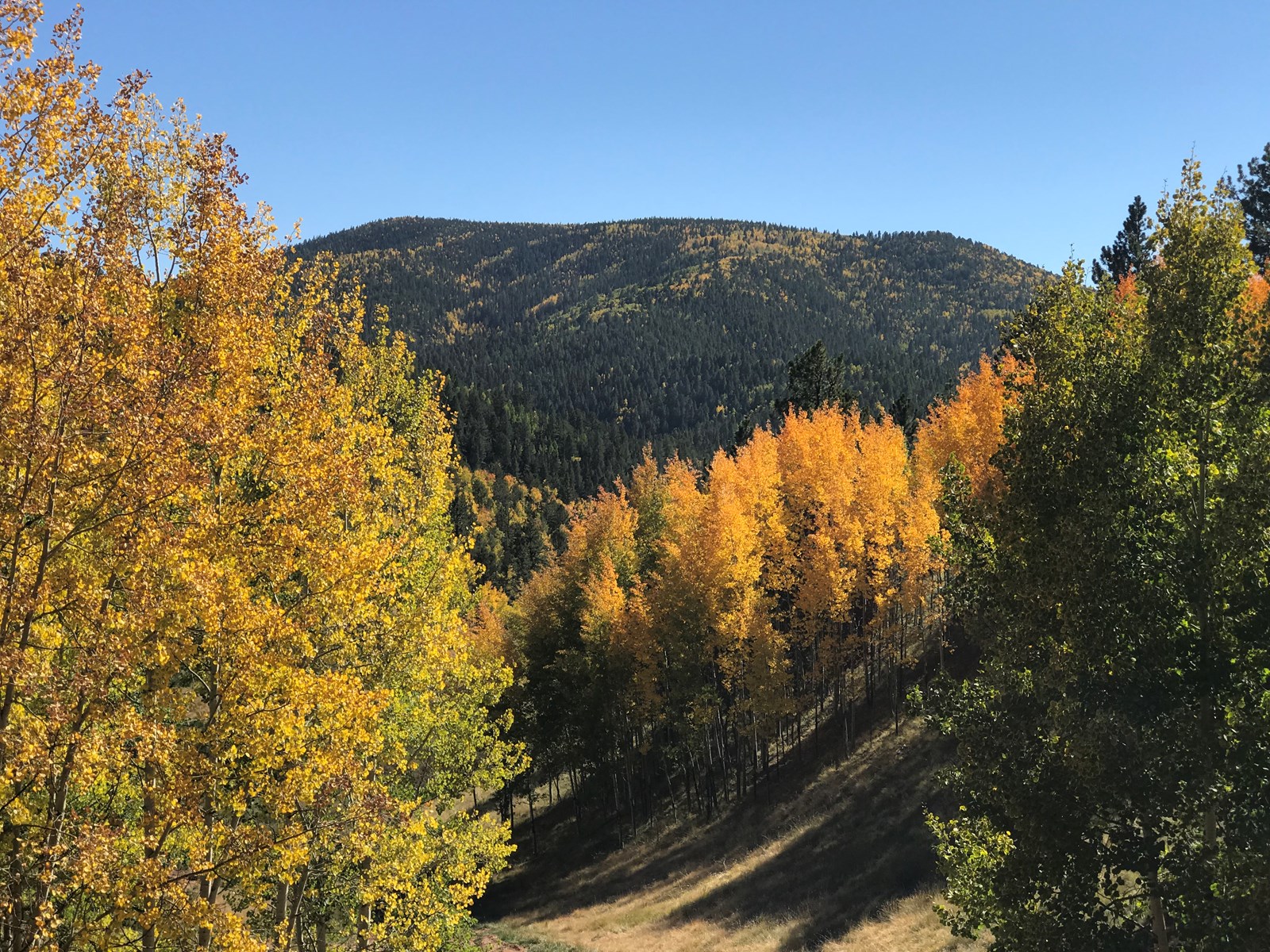 Mountain Cabin for sale