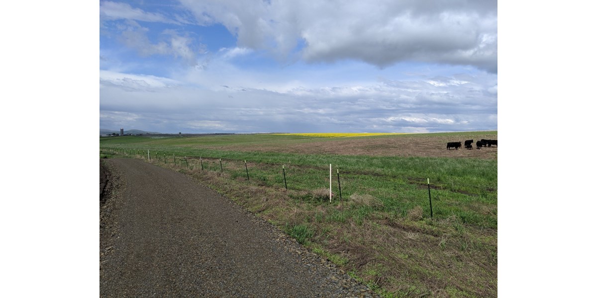 12 ACRE COUNTRY BUILDING LOT FOR SALE GRANGEVILLE, IDAHO