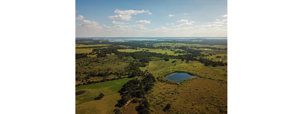 Decorative Image Slide 3