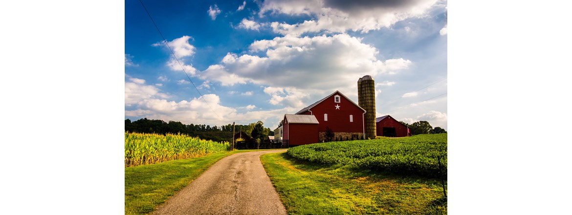 Decorative Image Slide 4