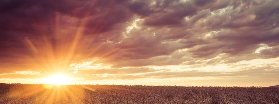 Decorative Image Slide 1