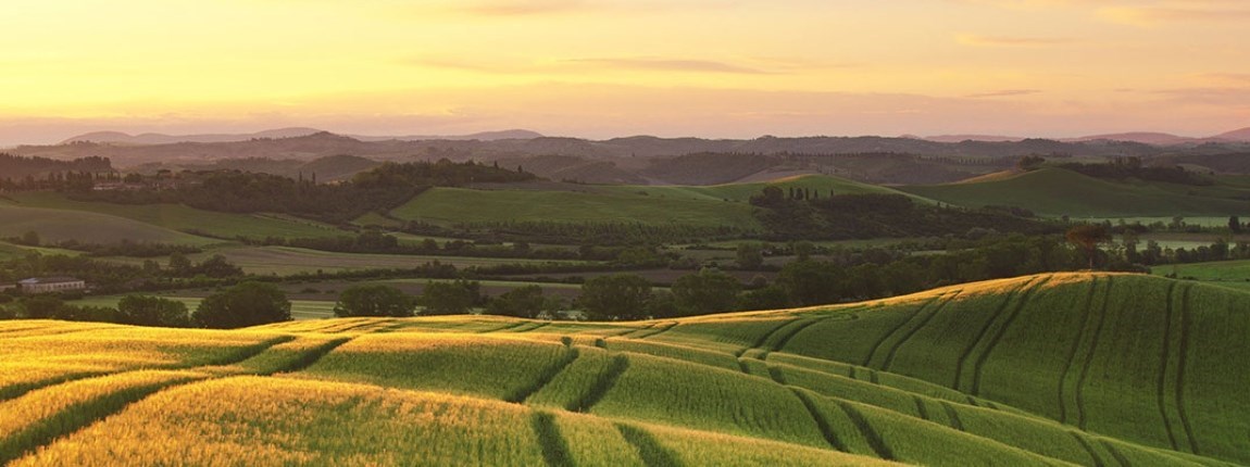 Decorative Image Slide 2