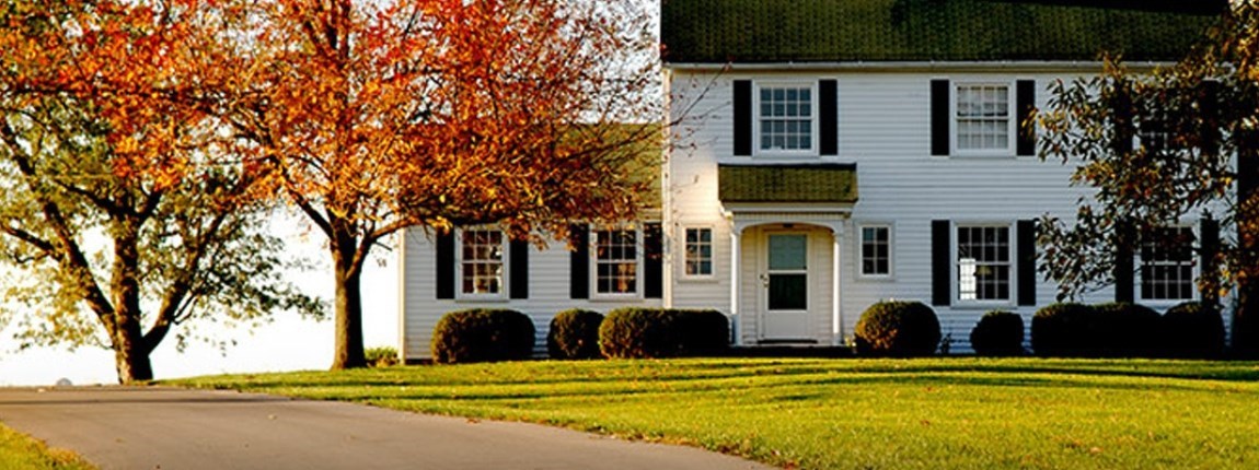 Decorative Image Slide 4