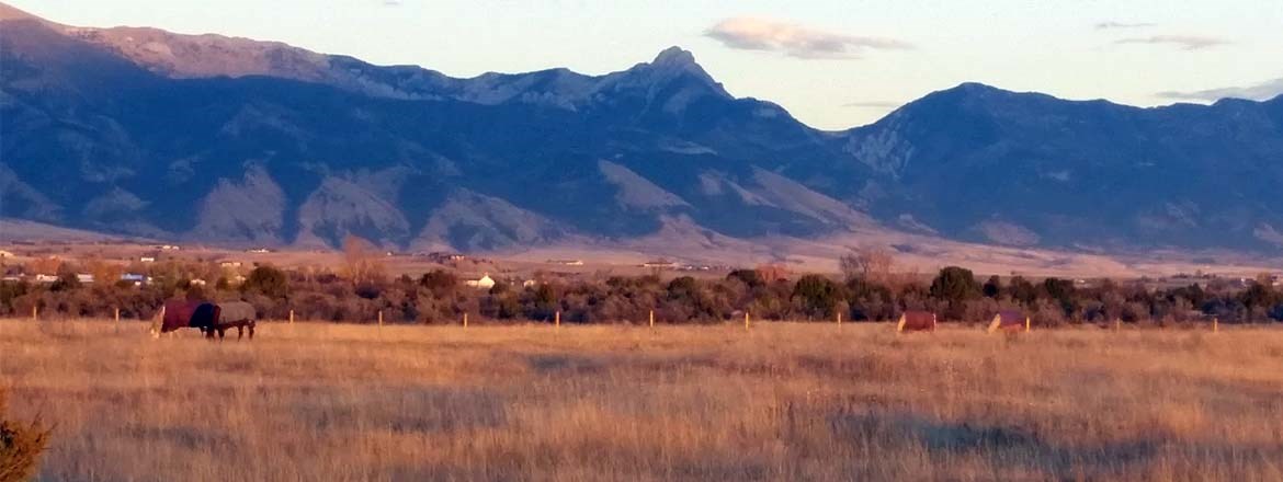 Decorative Image Slide 2