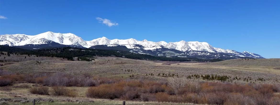 Decorative Image Slide 4