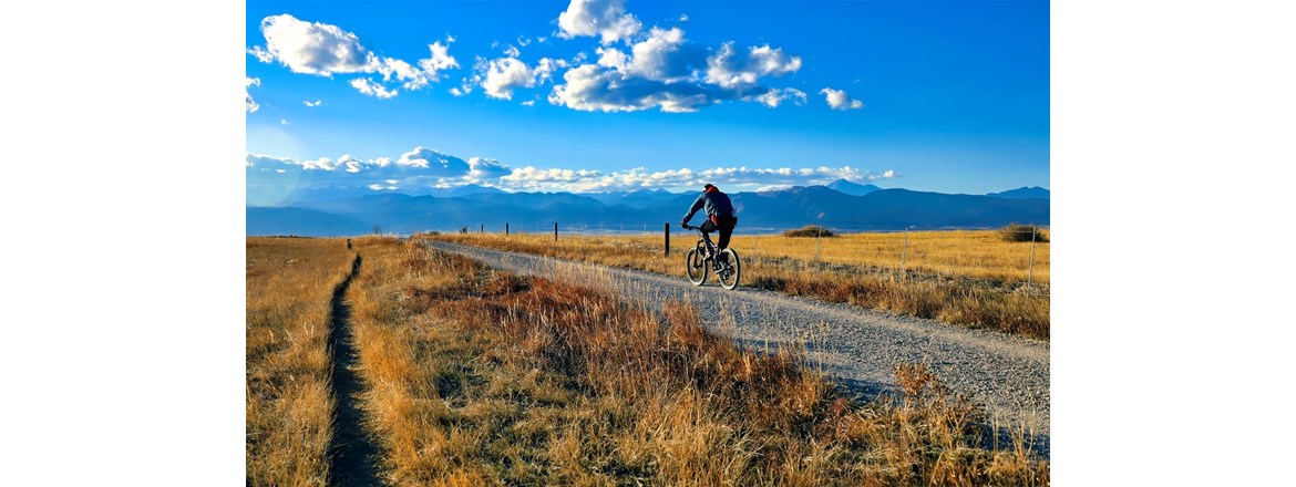 Decorative Image Slide 4