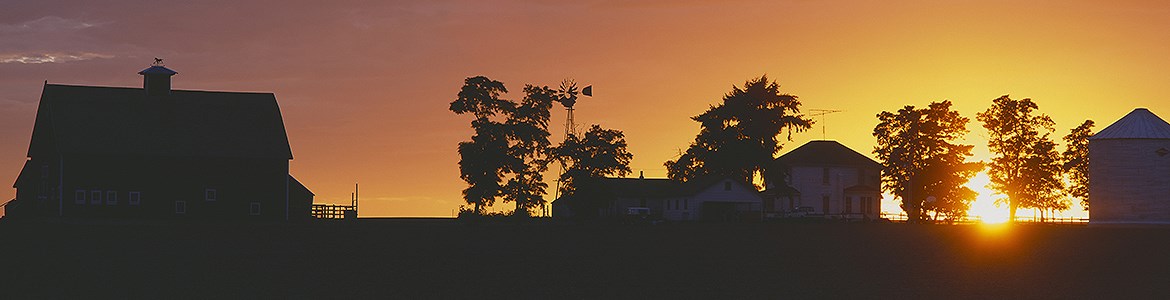 Decorative Image Slide 4