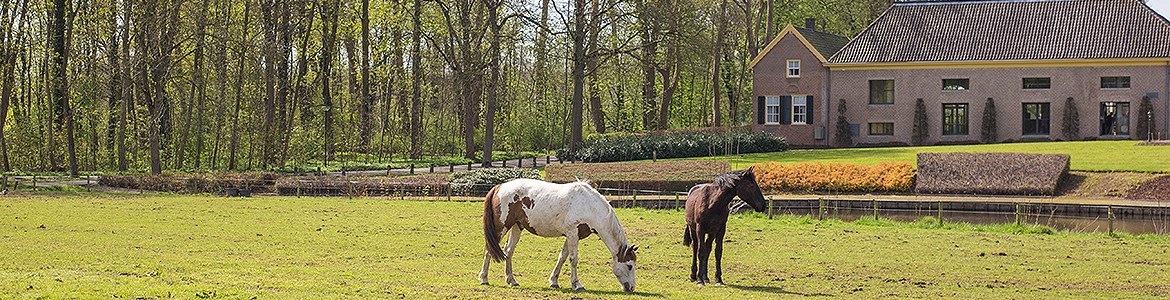 Decorative Image Slide 3